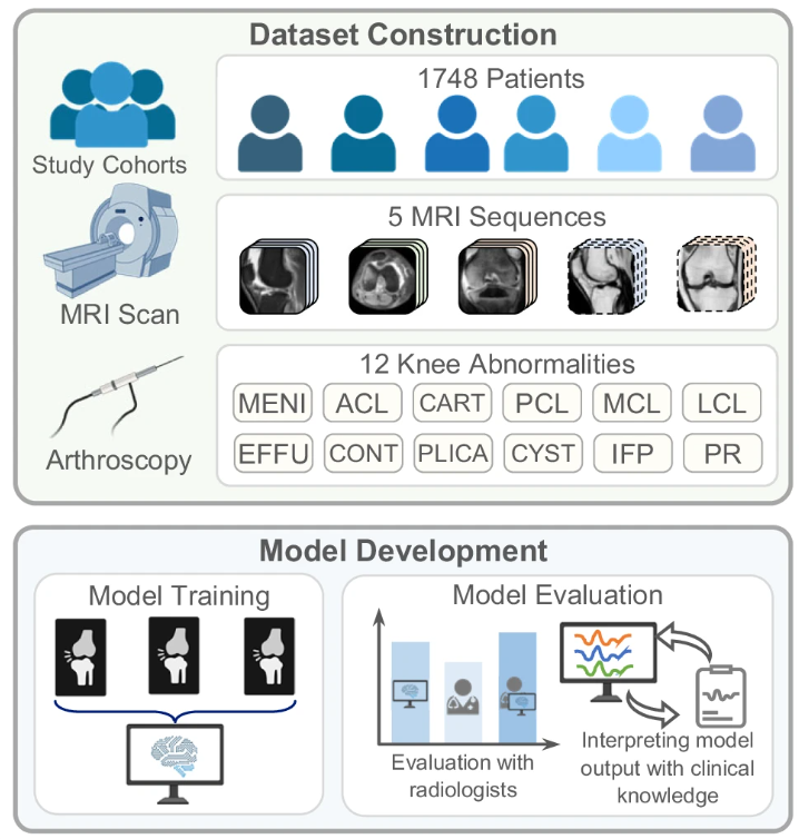 [Nature Communications] Learning Co-plane Attention across MRI Sequences for Diagnosing Twelve Types of Knee Abnormalities