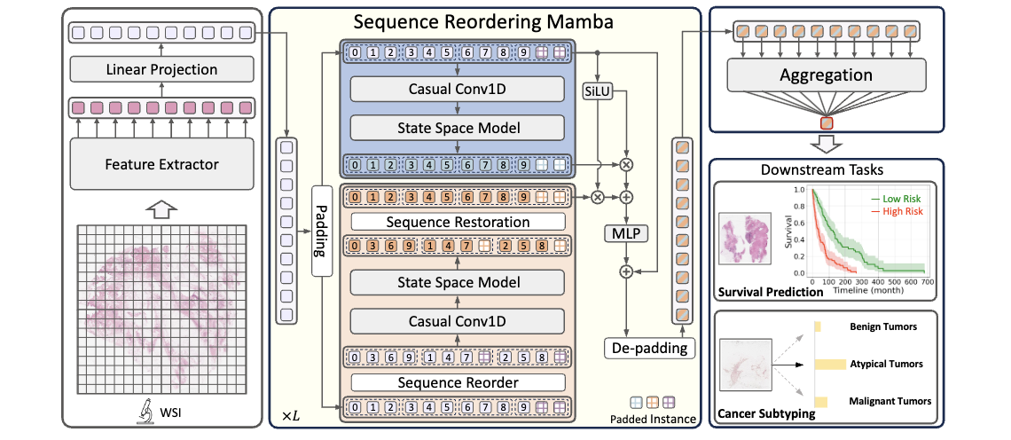 [MICCAI 2024 Paper] MambaMIL: Enhancing Long Sequence Modeling with Sequence Reordering in Computational Pathology