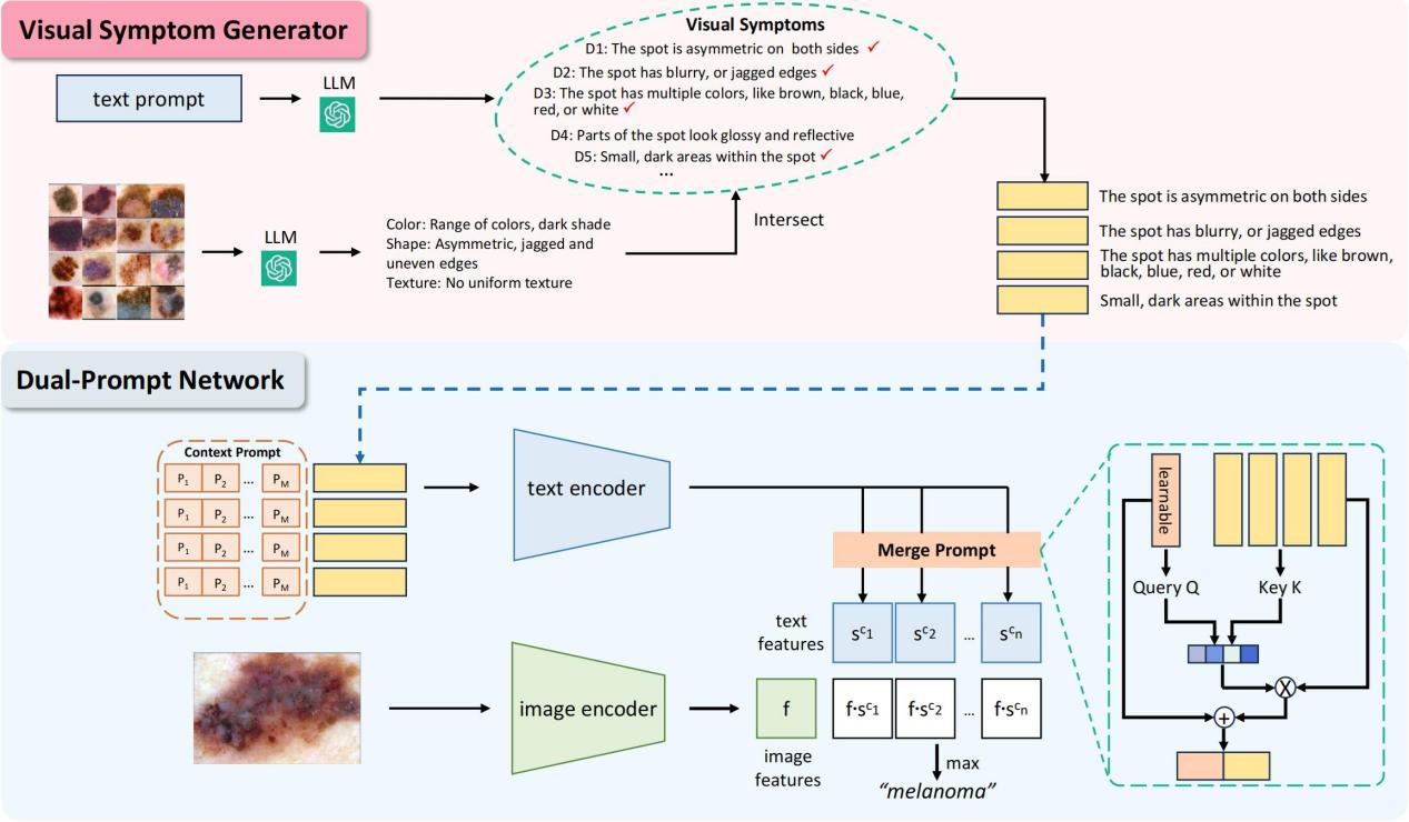 [MICCAI 2024 Paper & HKUST CSE Best FYP] Aligning Medical Image Analysis Tasks with General Knowledge from Large Language Models