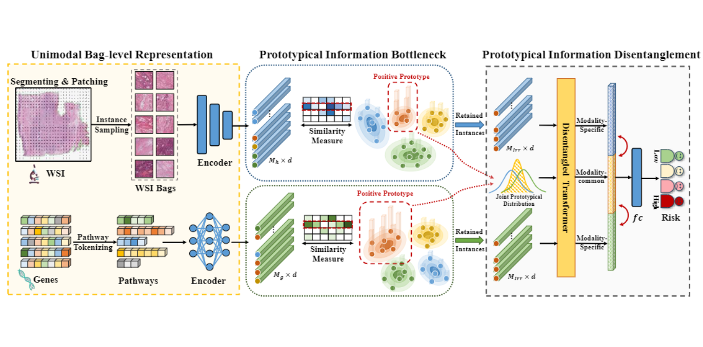 One paper was accepted in ICLR 2024