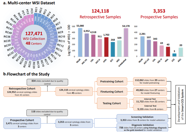 Generalizable Cervical Cancer Screening via Large-scale Pretraining and Test-Time Adaptation