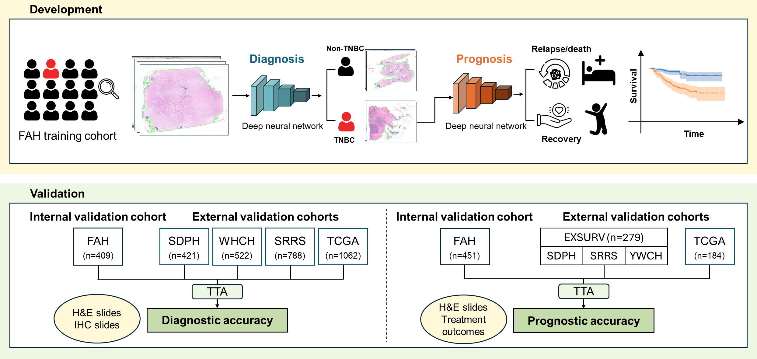 [EClinicalMedicine] Multi-task Deep Learning System achieves accurate identification and prognosis prediction of triple-negative breast cancer