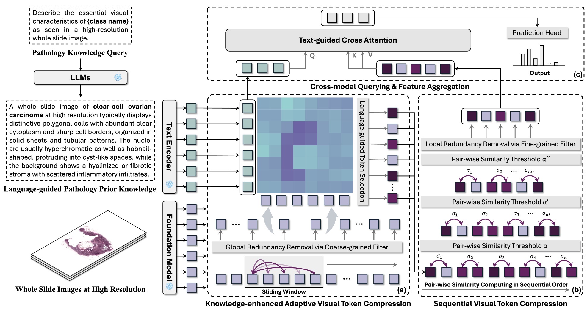 [CVPR 2025] FOCUS: Knowledge-Enhanced Adaptive Visual Compression for Few-Shot Whole Slide Image Classification