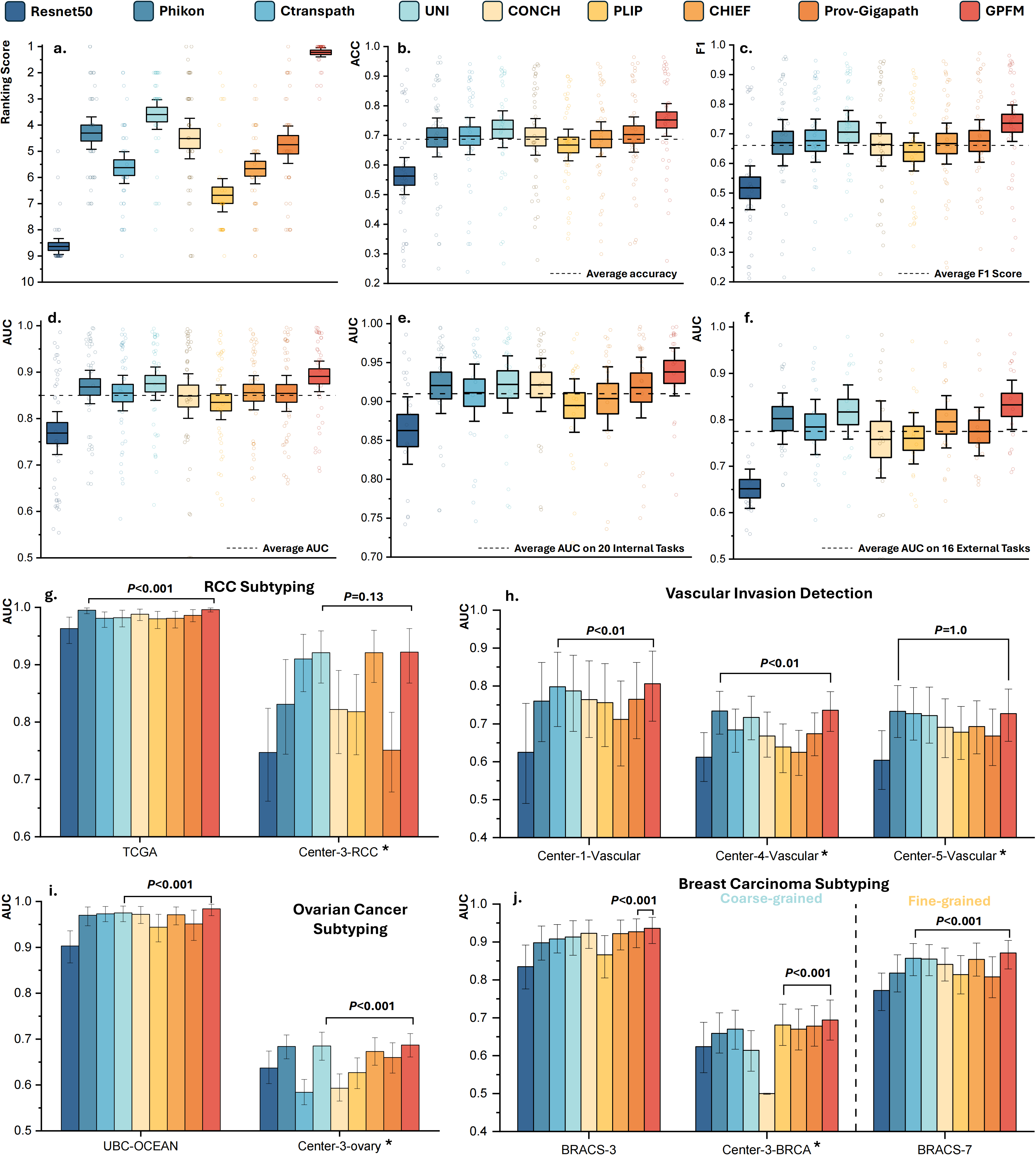 WSI Classification Results
