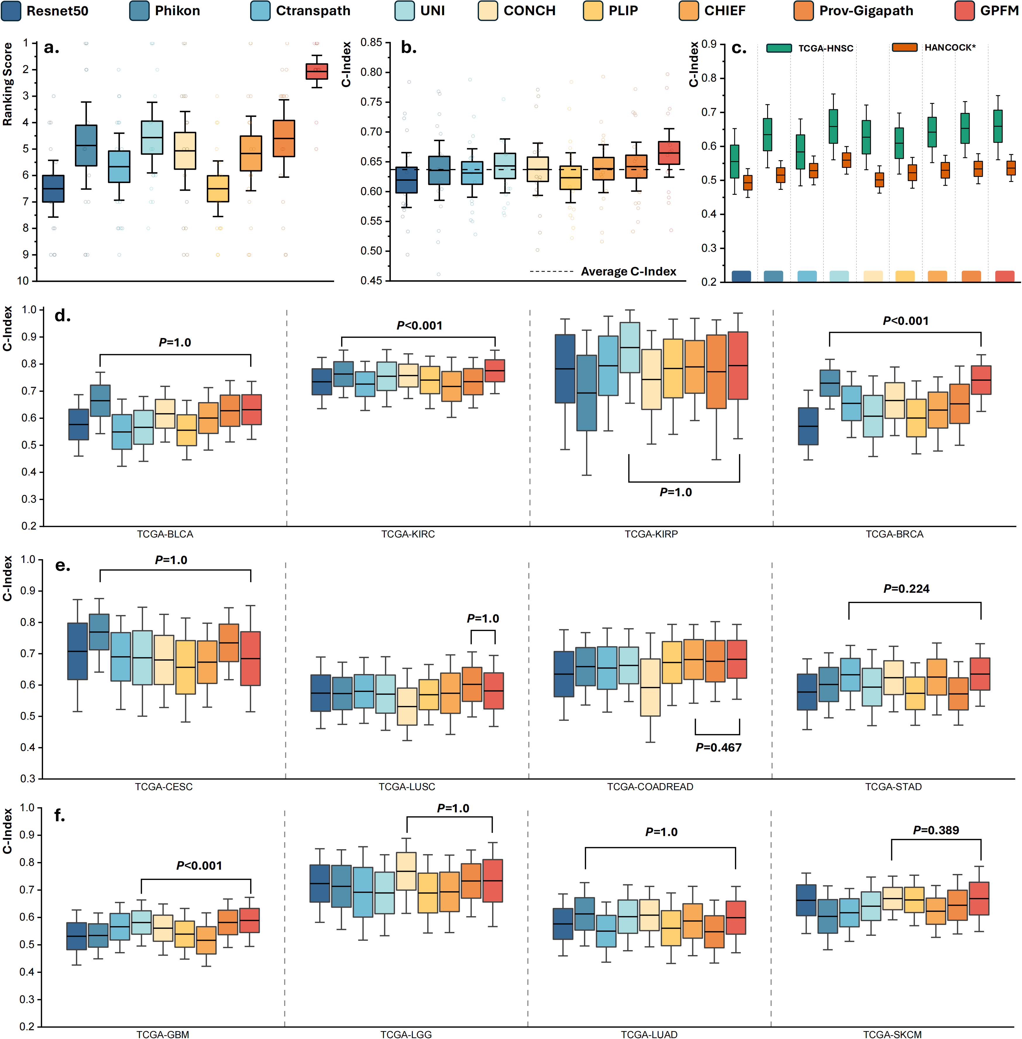 Survival Analysis Results