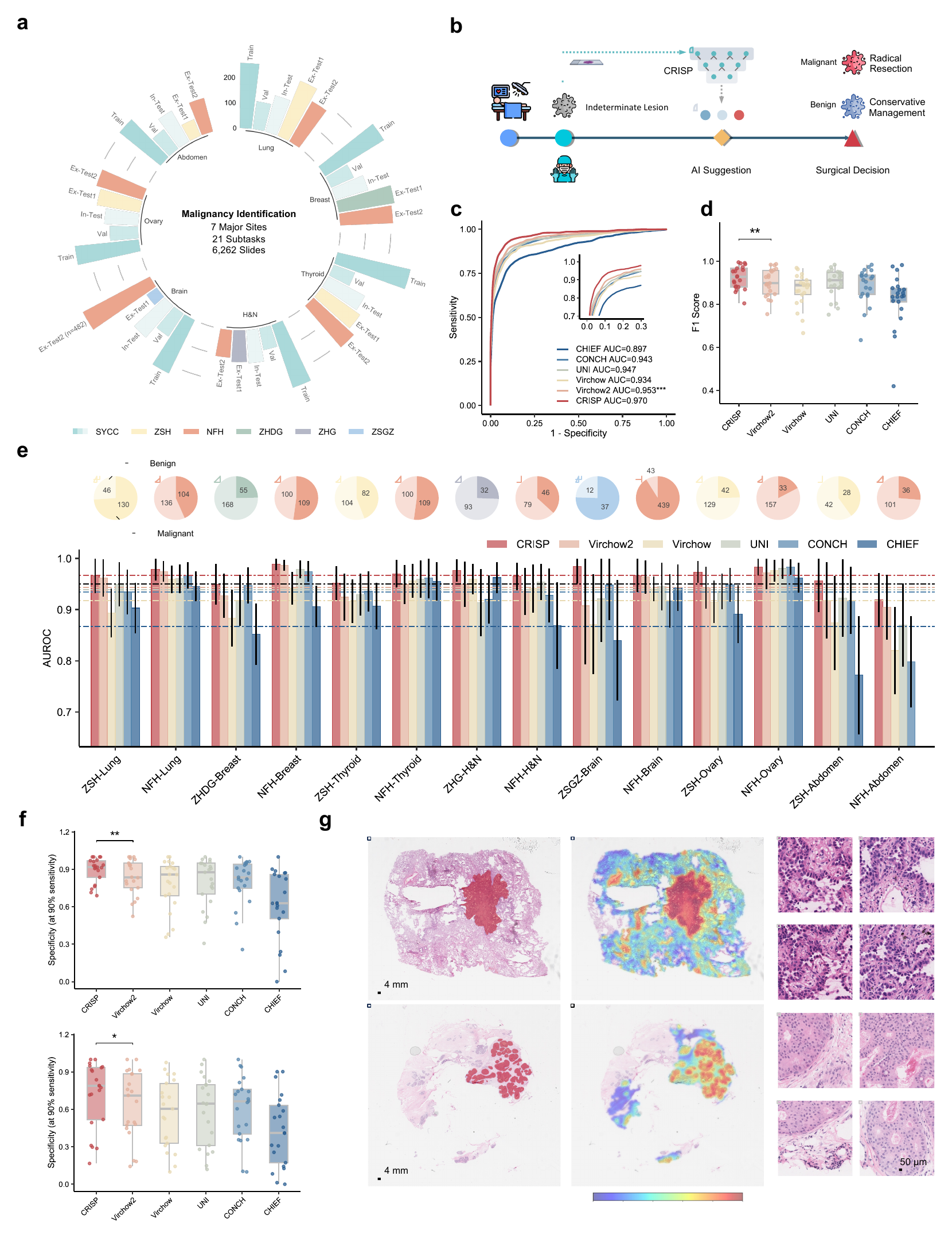 CRISP performance on common benign-malignant differentiation tasks