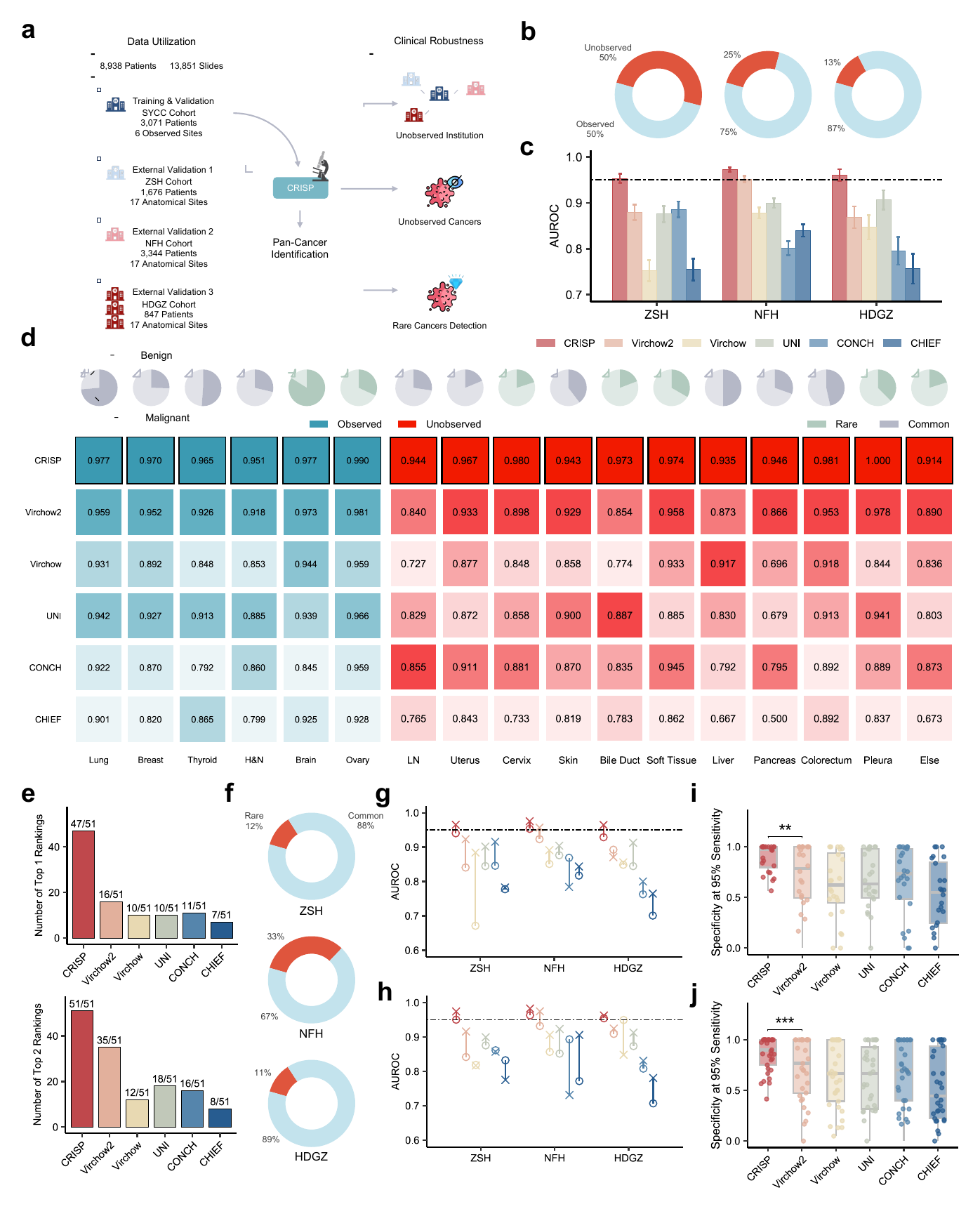 CRISP generalization across anatomical sites and rare cancers