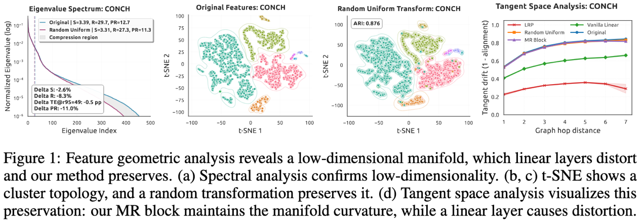 [ICLR 2026] Exploiting Low-Dimensional Manifold of Features for Few-Shot Whole Slide Image Classification