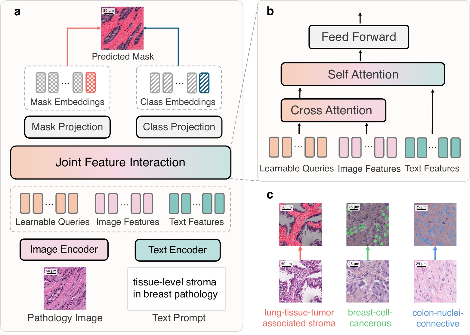 PathSegmentor architecture and natural-language-guided segmentation