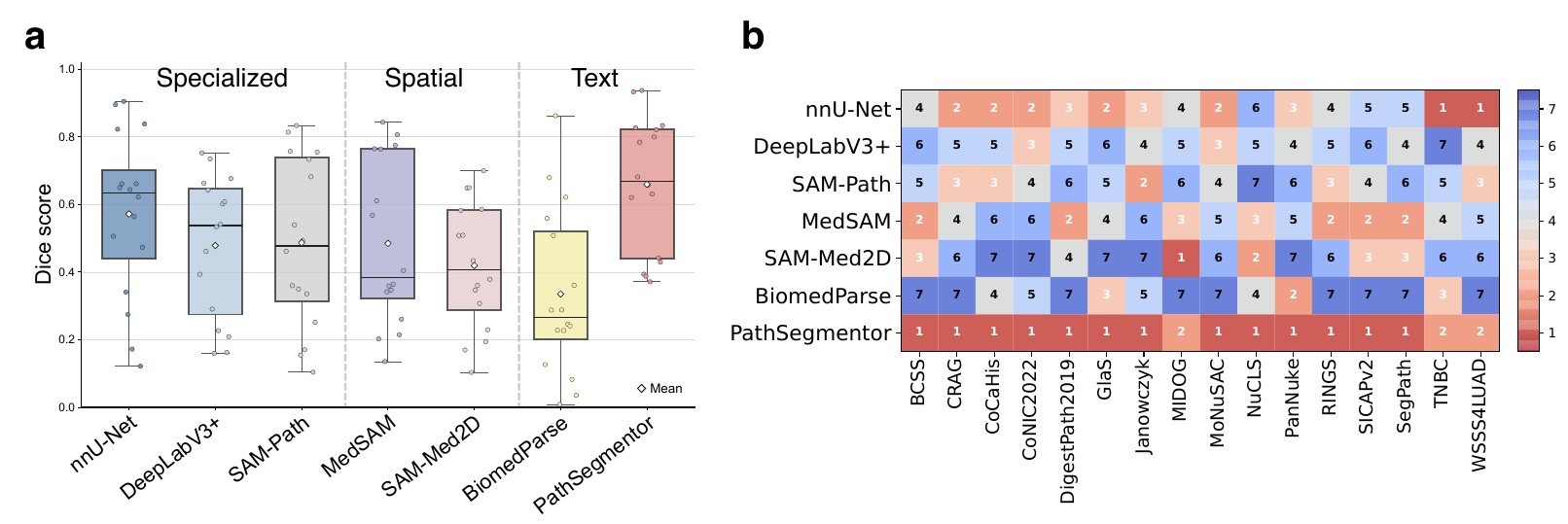 PathSegmentor performance across internal datasets