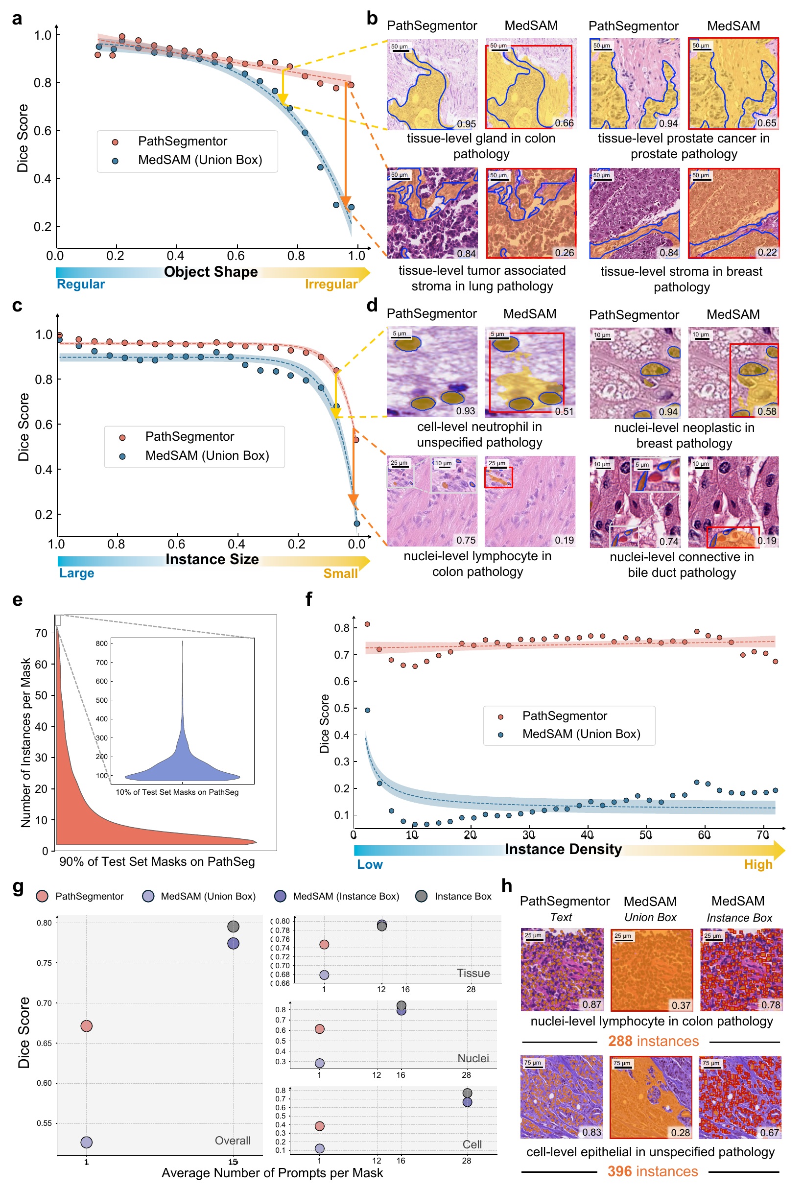 Complex pathology structures and prompt efficiency