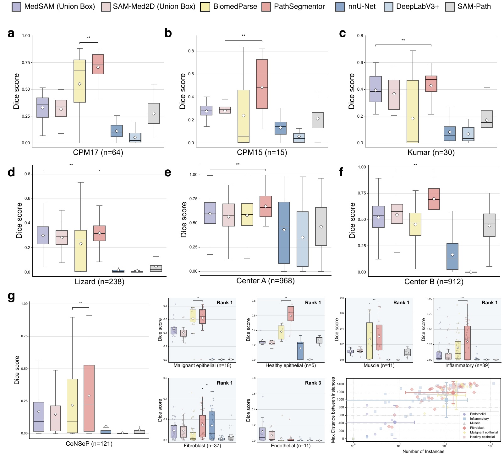 External and clinical validation of PathSegmentor
