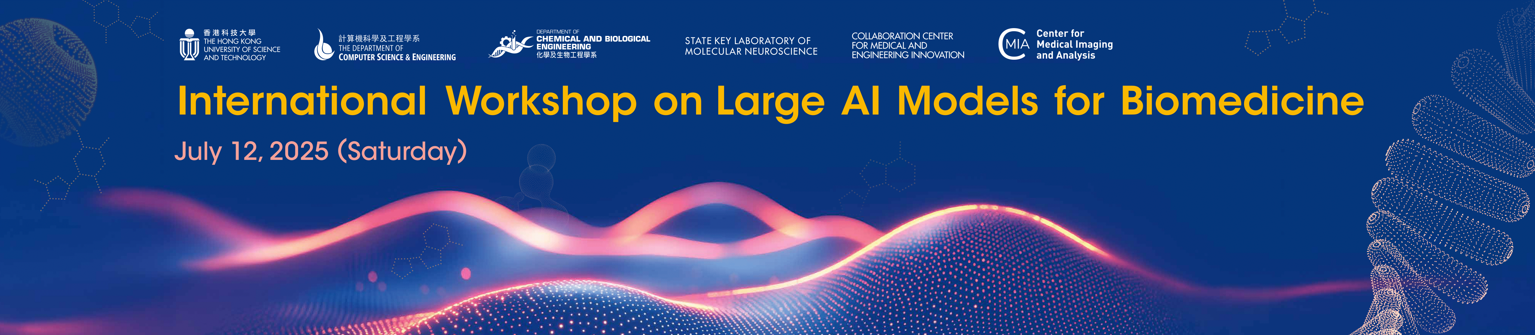 International Workshop on Large AI Models for Biomedicine